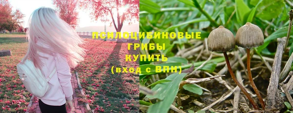 МДМА Богородицк